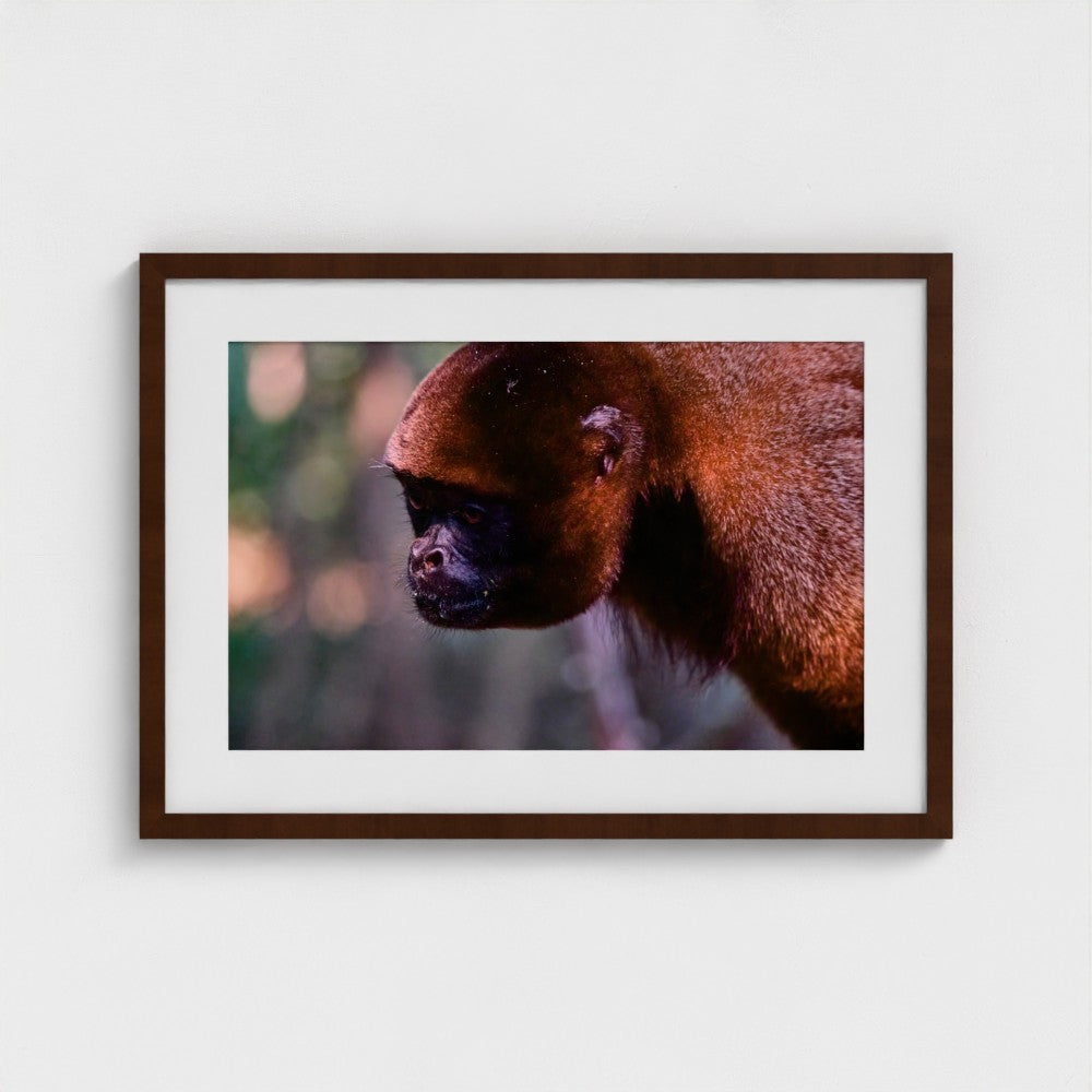 Amber Stillness - Framed
