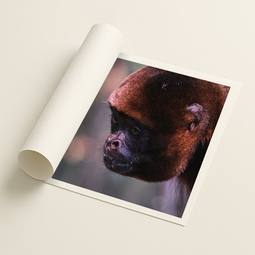 Amber Stillness - Printed