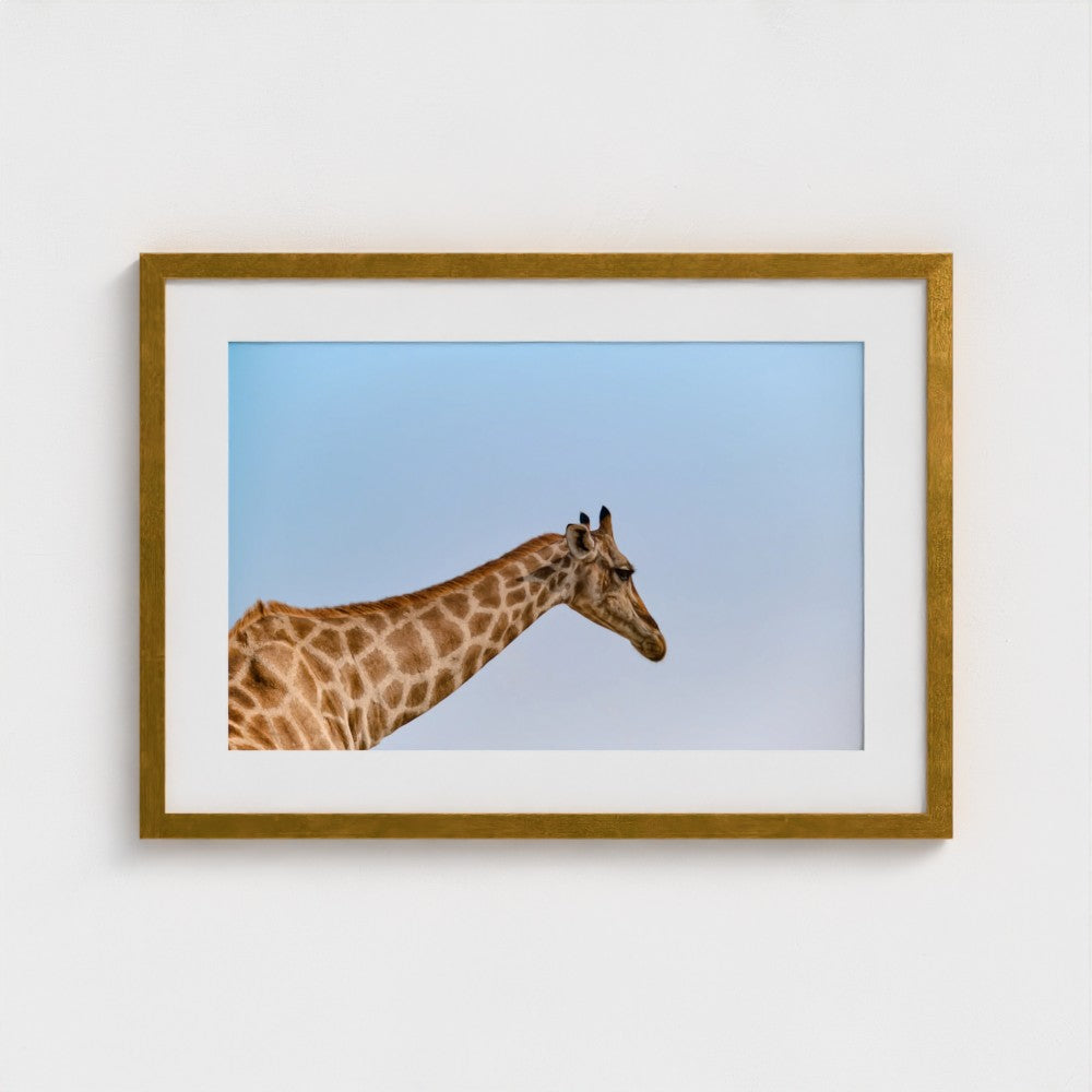 Dry Palette - Framed