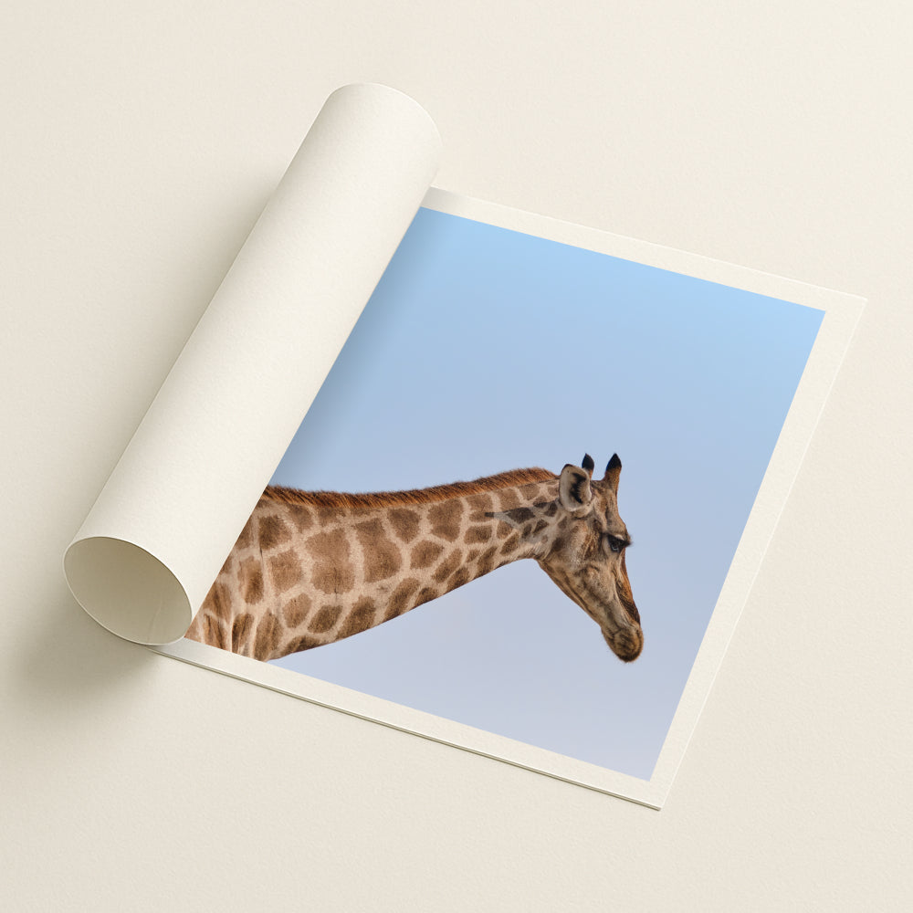Dry Palette - Printed