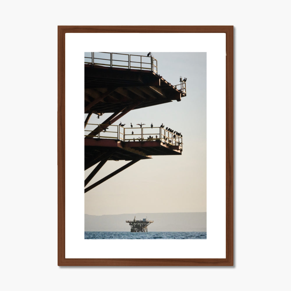 Living Relic - Framed