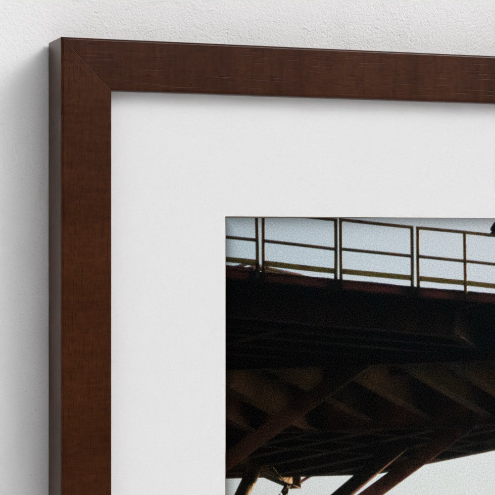 Living Relic - Framed