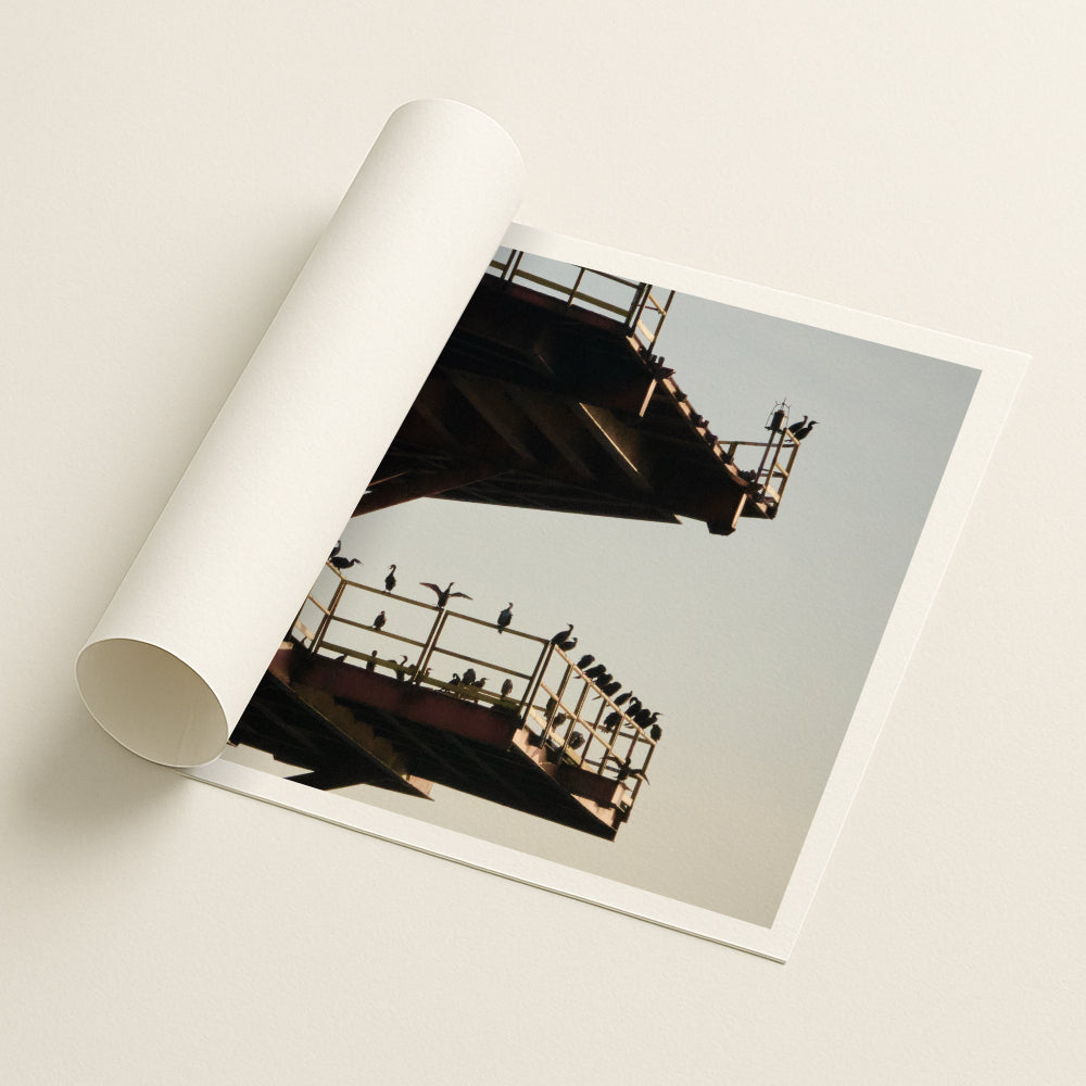 Living Relic - Printed