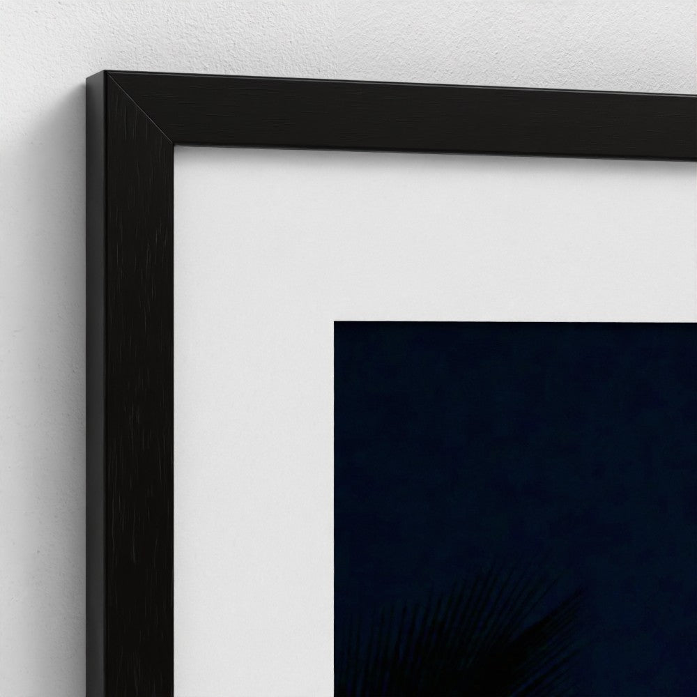 Palm & Moon - Framed