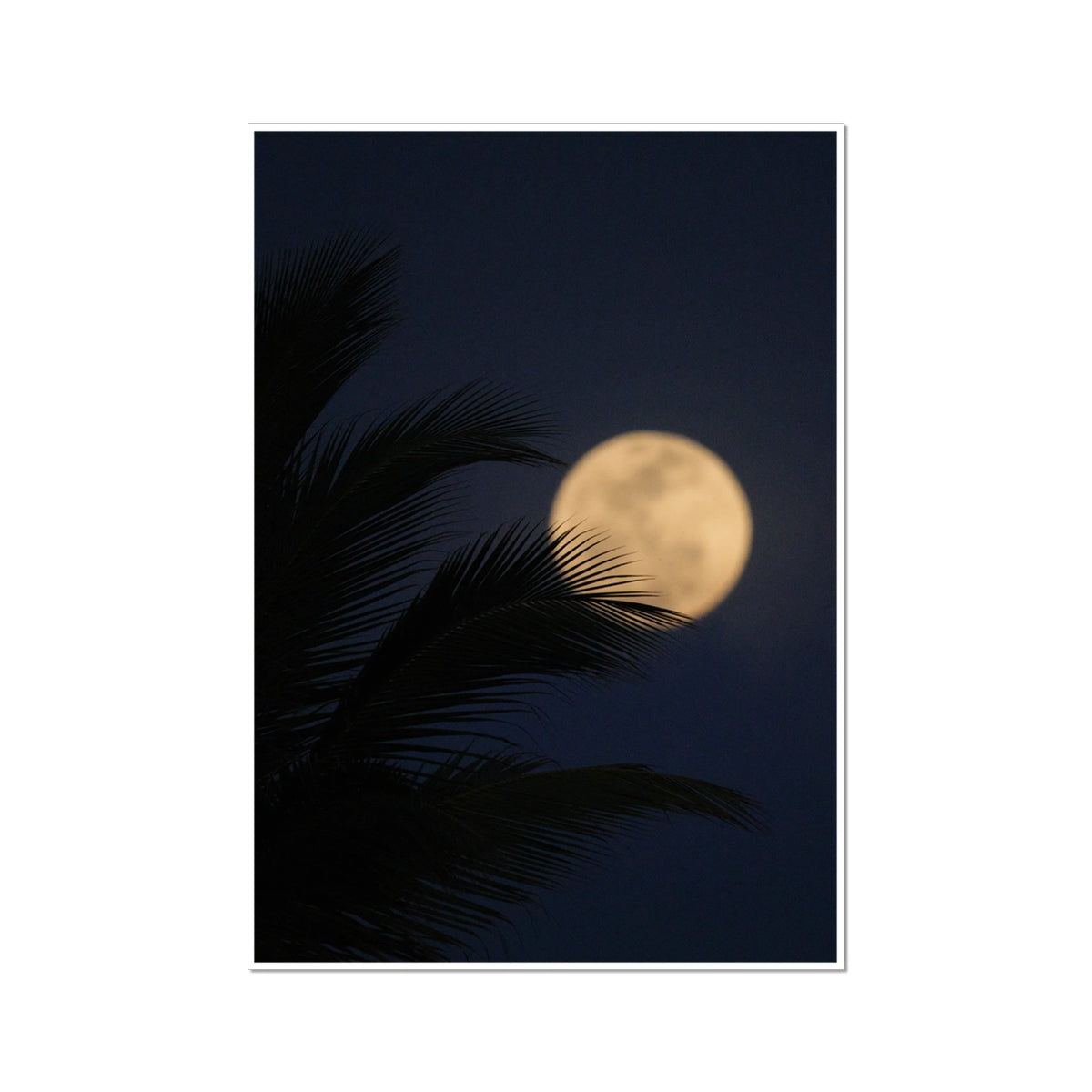 Palm & Moon - Printed