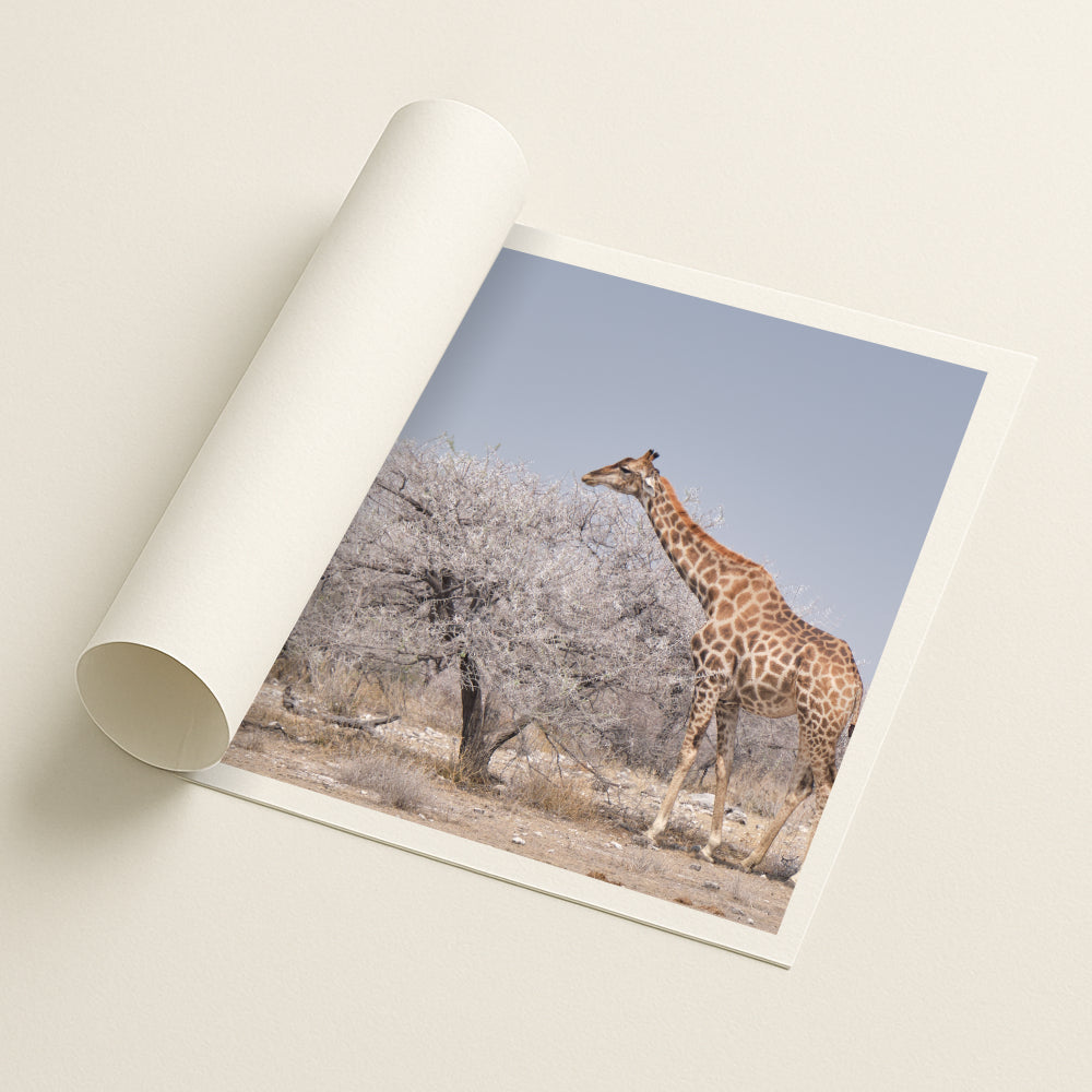 Reach - Printed