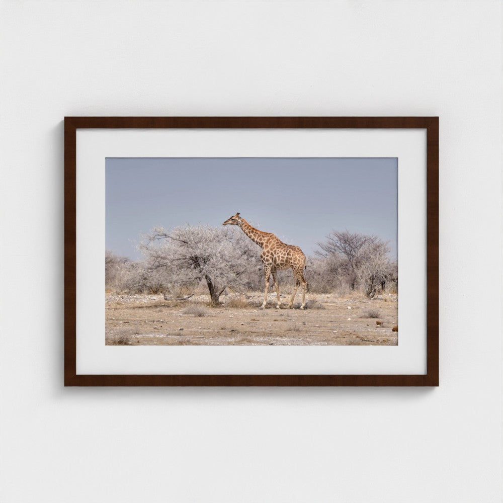 Reach - Framed