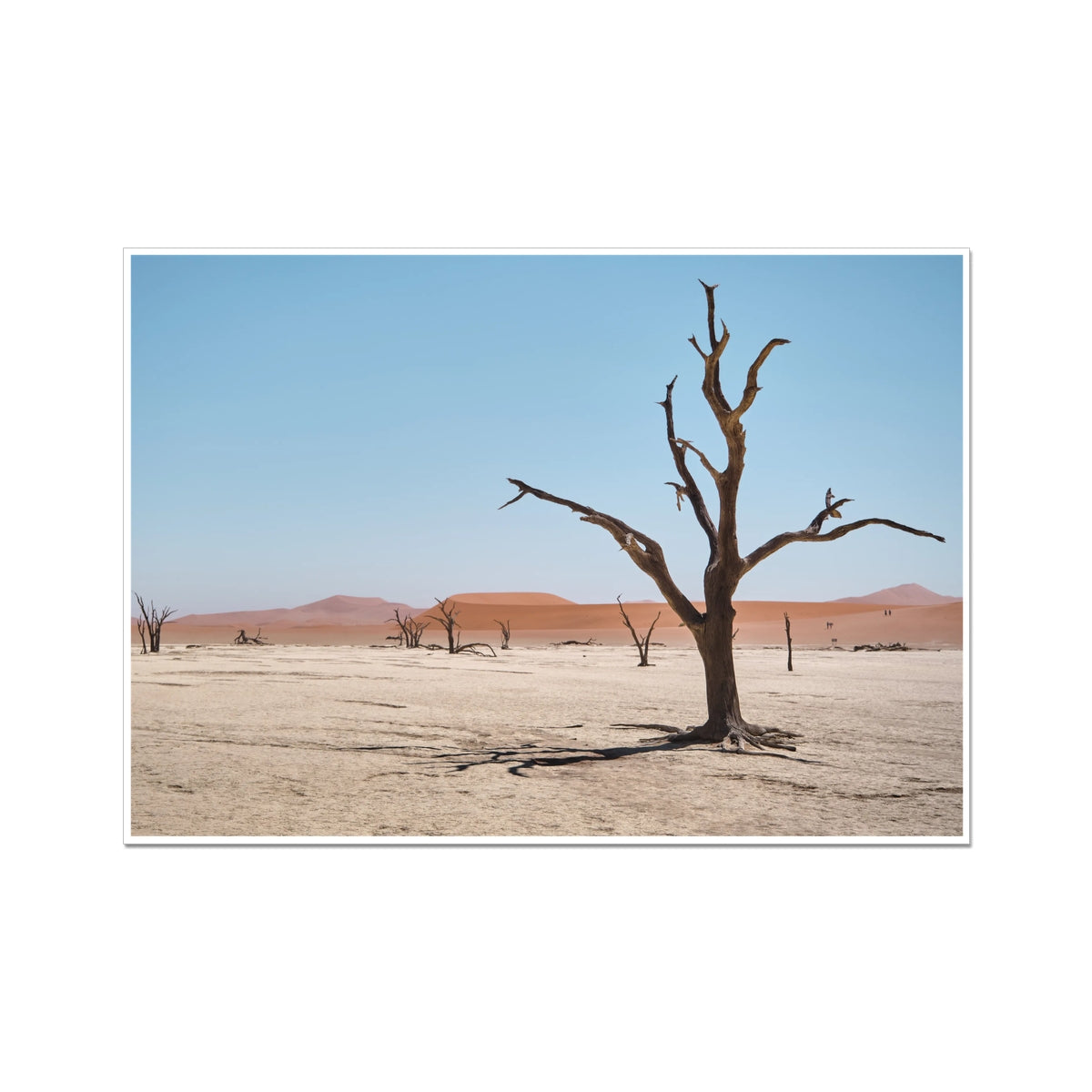 Sossusvlei - Printed