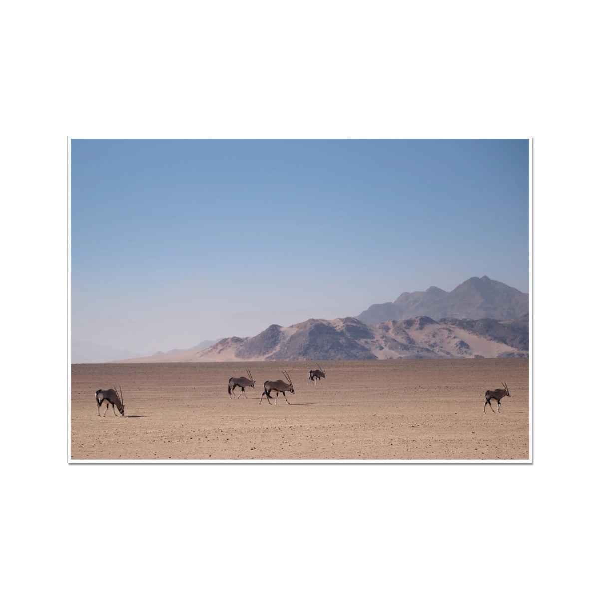 The Guardians of Silence - Printed