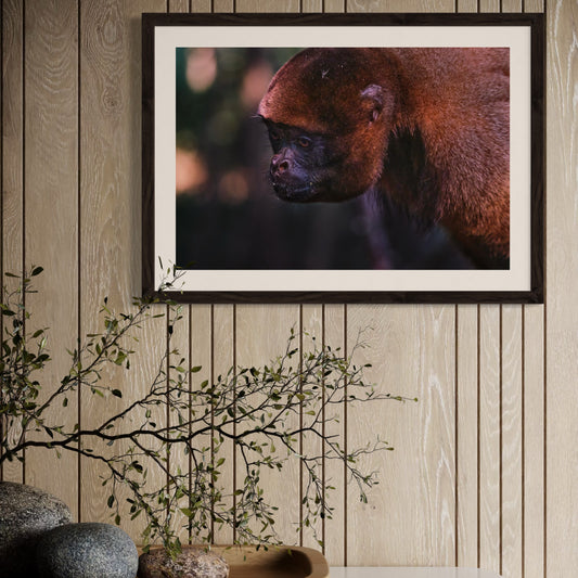 Amber Stillness - Framed