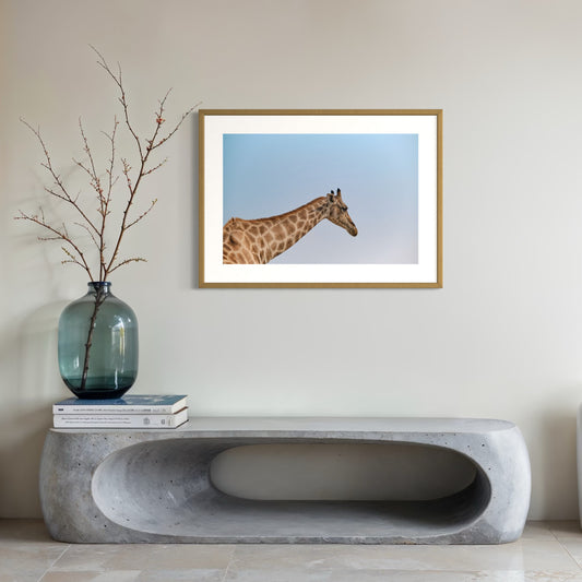 Dry Palette  - Framed
