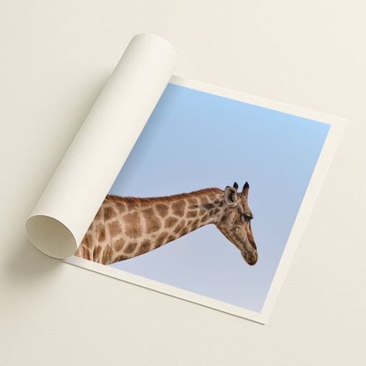 Dry Palette - Printed