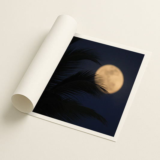 Palm & Moon - Printed