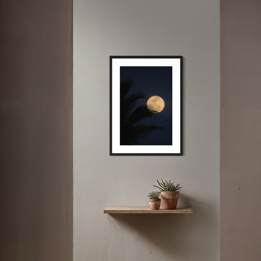 Palm & Moon - Framed