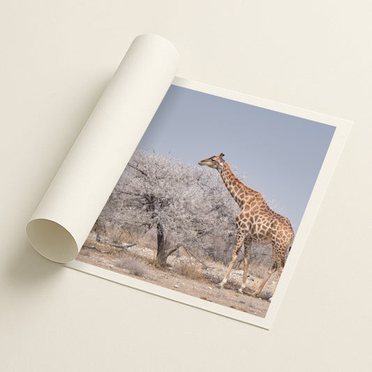 Reach - Printed