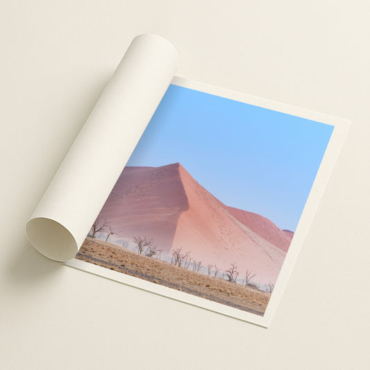 Sandline - Printed