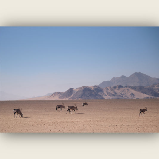 The Guardians of Silence