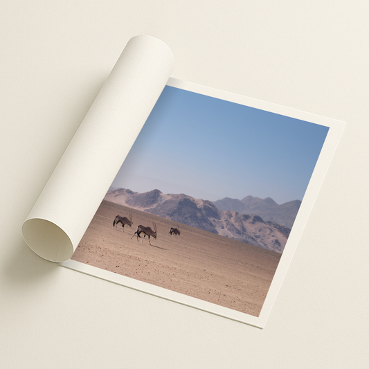 The Guardians of Silence - Printed