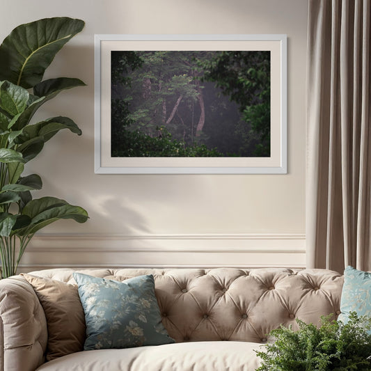 Through the Canopy - Framed